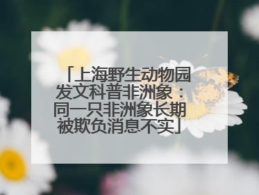 上海野生动物园发文科普非洲象：同一只非洲象长期被欺负消息不实