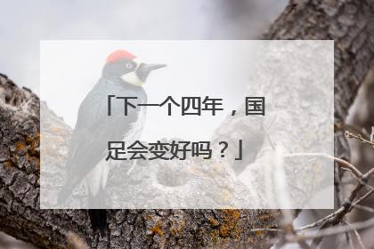 下一个四年，国足会变好吗？