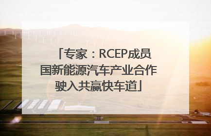 专家：RCEP成员国新能源汽车产业合作驶入共赢快车道