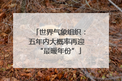 世界气象组织：五年内大概率再迎“最暖年份”