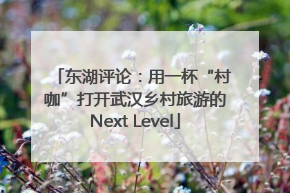 东湖评论：用一杯“村咖”打开武汉乡村旅游的Next Level