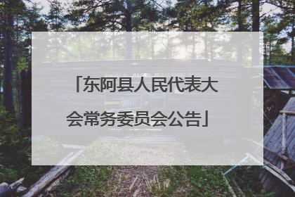 东阿县人民代表大会常务委员会公告