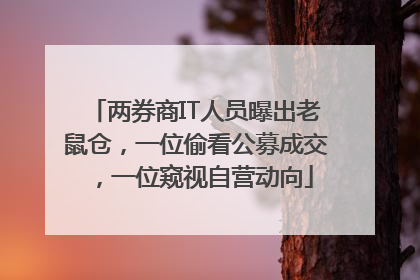 两券商IT人员曝出老鼠仓，一位偷看公募成交，一位窥视自营动向