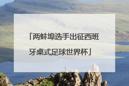 两蚌埠选手出征西班牙桌式足球世界杯