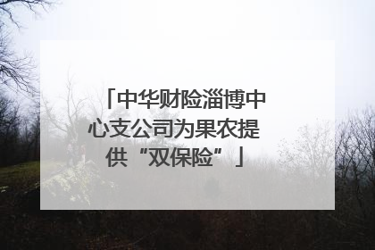 中华财险淄博中心支公司为果农提供“双保险”