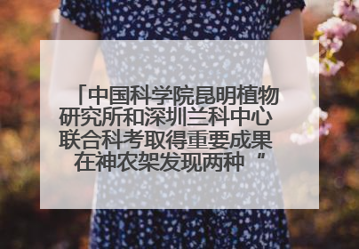 中国科学院昆明植物研究所和深圳兰科中心联合科考取得重要成果 在神农架发现两种“国保”级兰花