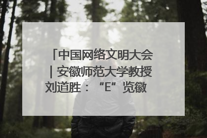 中国网络文明大会｜安徽师范大学教授刘道胜：“E”览徽风，构筑中华民族共有精神家园