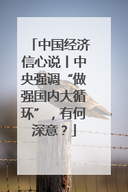 中国经济信心说丨中央强调“做强国内大循环”，有何深意？