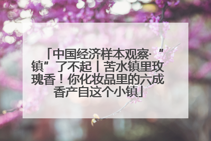 中国经济样本观察·“镇”了不起丨苦水镇里玫瑰香！你化妆品里的六成香产自这个小镇