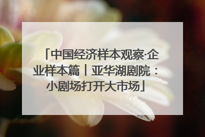 中国经济样本观察·企业样本篇︱亚华湖剧院：小剧场打开大市场
