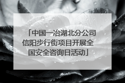 中国一冶湖北分公司信阳步行街项目开展全国安全咨询日活动