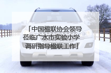 中国楹联协会领导莅临广水市实验小学调研指导楹联工作