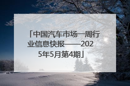 中国汽车市场一周行业信息快报——2025年5月第4期