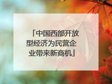 中国西部开放型经济为民营企业带来新商机