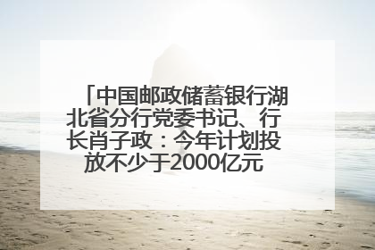 中国邮政储蓄银行湖北省分行党委书记、行长肖子政：今年计划投放不少于2000亿元支持支点建设