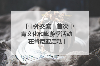 中外交流｜首次中肯文化和旅游季活动在肯尼亚启动