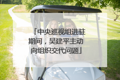 中央巡视组进驻期间，吴建平主动向组织交代问题
