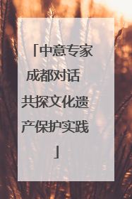 中意专家成都对话 共探文化遗产保护实践