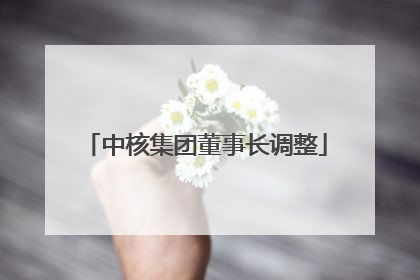 中核集团董事长调整