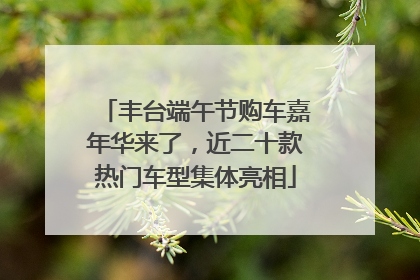 丰台端午节购车嘉年华来了，近二十款热门车型集体亮相