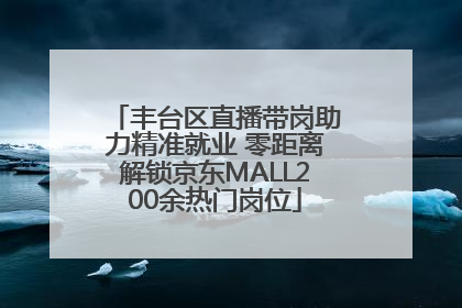 丰台区直播带岗助力精准就业 零距离解锁京东MALL200余热门岗位