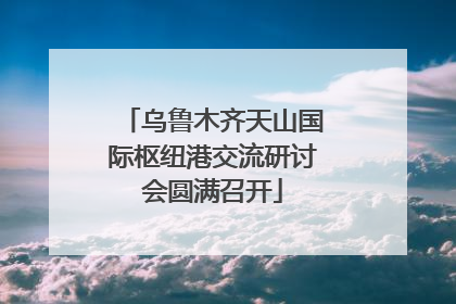 乌鲁木齐天山国际枢纽港交流研讨会圆满召开