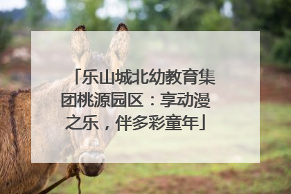 乐山城北幼教育集团桃源园区：享动漫之乐，伴多彩童年