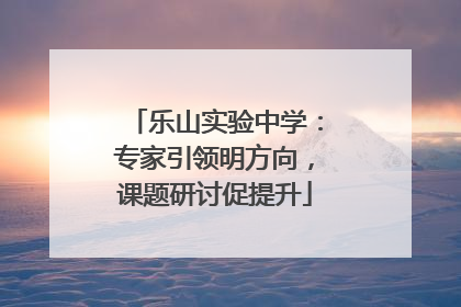 乐山实验中学：专家引领明方向，课题研讨促提升