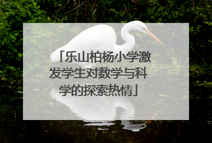 乐山柏杨小学激发学生对数学与科学的探索热情