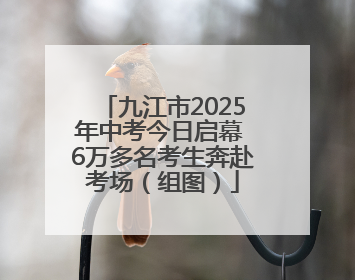 九江市2025年中考今日启幕 6万多名考生奔赴考场（组图）