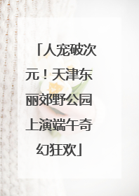 人宠破次元！天津东丽郊野公园上演端午奇幻狂欢