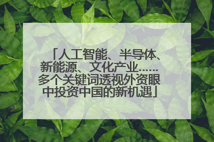人工智能、半导体、新能源、文化产业……多个关键词透视外资眼中投资中国的新机遇