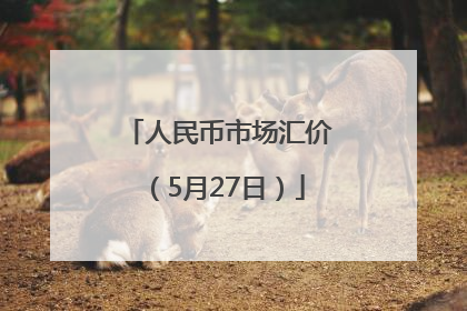人民币市场汇价（5月27日）