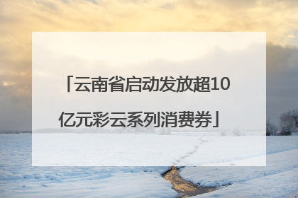 云南省启动发放超10亿元彩云系列消费券