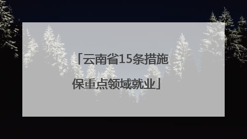 云南省15条措施保重点领域就业