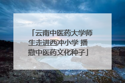 云南中医药大学师生走进西冲小学 播撒中医药文化种子