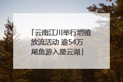 云南江川举行增殖放流活动 逾54万尾鱼游入星云湖