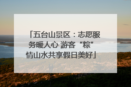 五台山景区：志愿服务暖人心 游客“粽”情山水共享假日美好