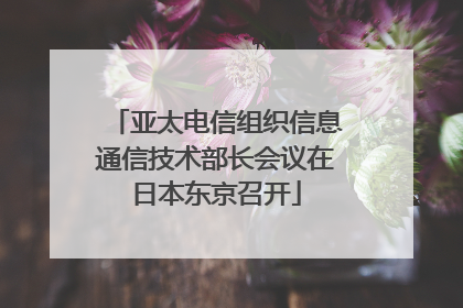 亚太电信组织信息通信技术部长会议在日本东京召开