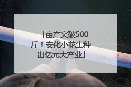 亩产突破500斤！安化小花生种出亿元大产业