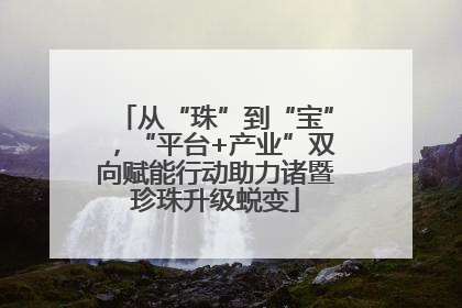 从“珠”到“宝”，“平台+产业”双向赋能行动助力诸暨珍珠升级蜕变