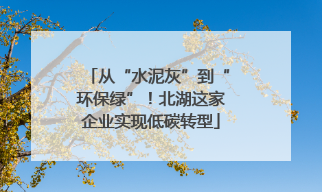 从“水泥灰”到“环保绿”！北湖这家企业实现低碳转型