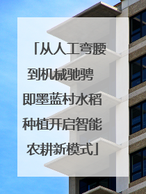 从人工弯腰到机械驰骋 即墨蓝村水稻种植开启智能农耕新模式