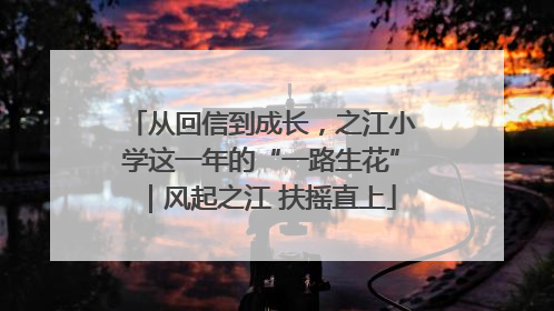 从回信到成长，之江小学这一年的“一路生花”｜风起之江 扶摇直上