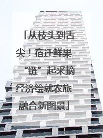从枝头到舌尖！宿迁鲜果“链”起采摘经济绘就农旅融合新图景