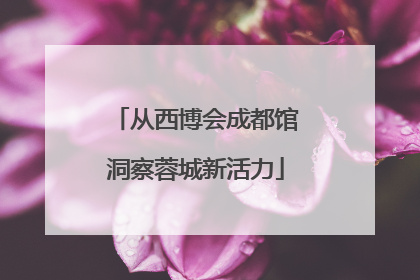 从西博会成都馆洞察蓉城新活力