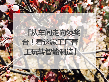 从车间走向领奖台！看这家工厂青工玩转智能制造