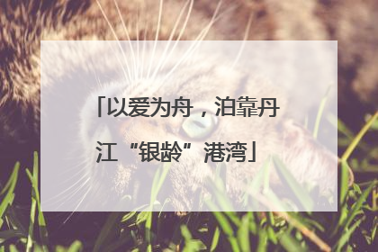 以爱为舟，泊靠丹江“银龄”港湾