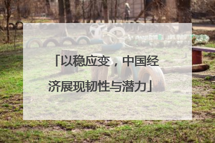 以稳应变，中国经济展现韧性与潜力