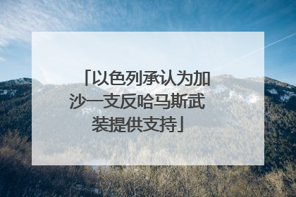 以色列承认为加沙一支反哈马斯武装提供支持
